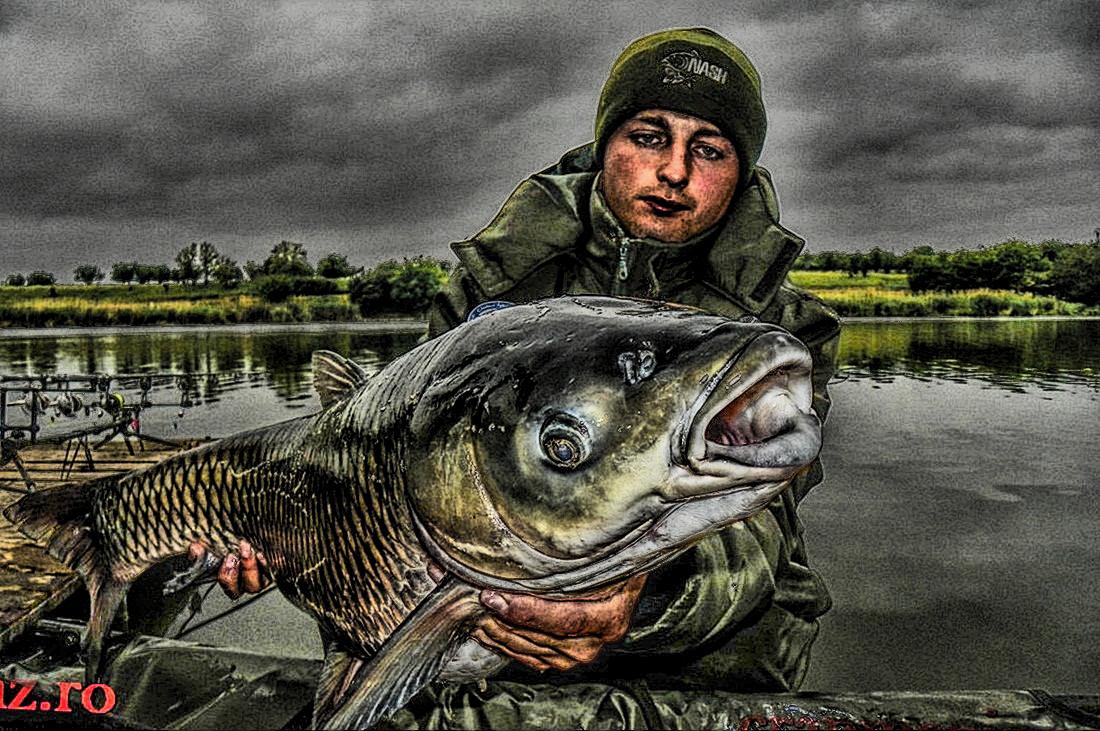 Crapmania (2) - 2013 - 1010365hdrmode2.JPG